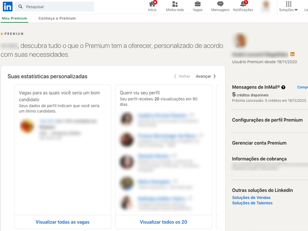 Visão geral do LinkedIn Premium (Imagem: André Magalhães/Captura de tela)
