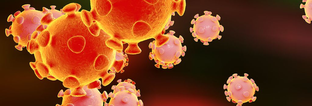 Avanços nas descobertas podem auxiliar na criação de vacina do coronavírus
