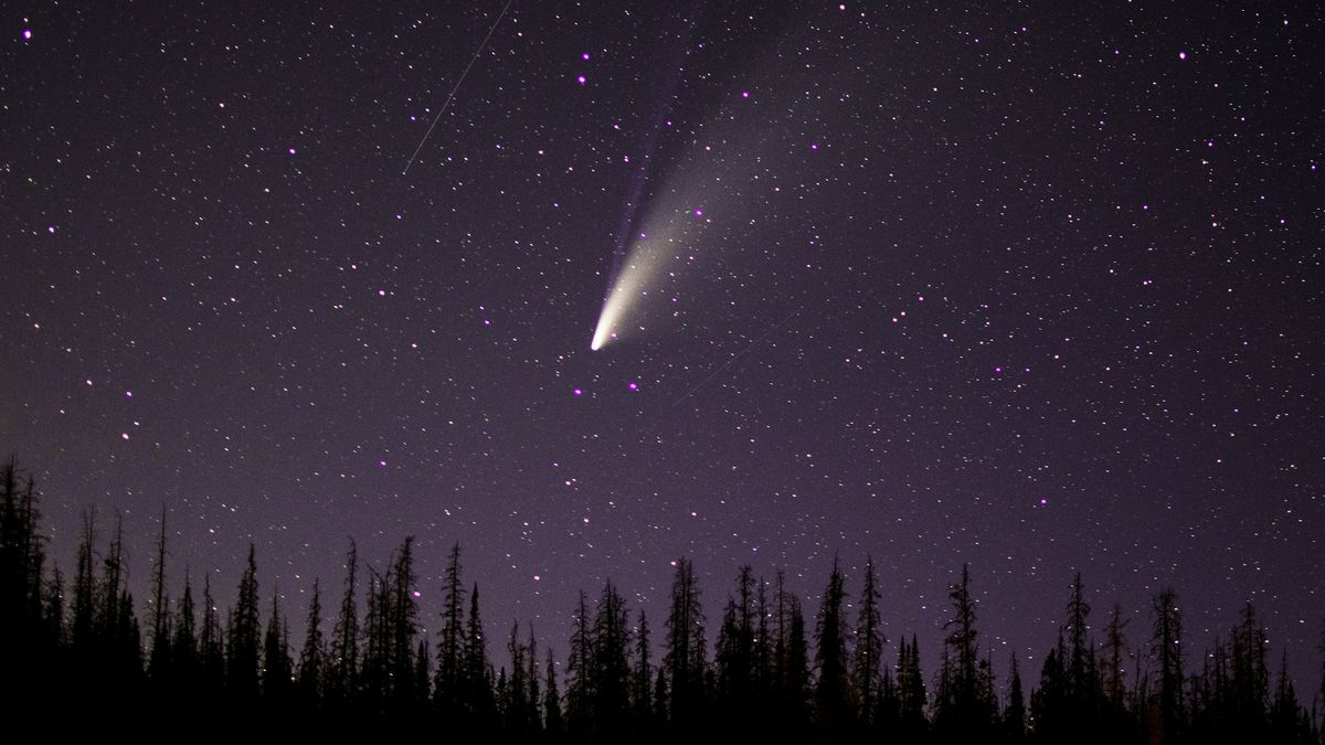 Binóculos e apps ajudam a visualizar o cometa Lemmon — também visível a olho nu