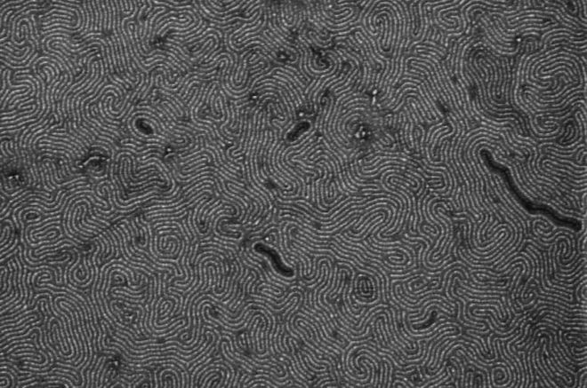 Nanofitas de carbono com apenas 12 nanômetros de largura (Imagem: Reprodução/University of Wisconsin)