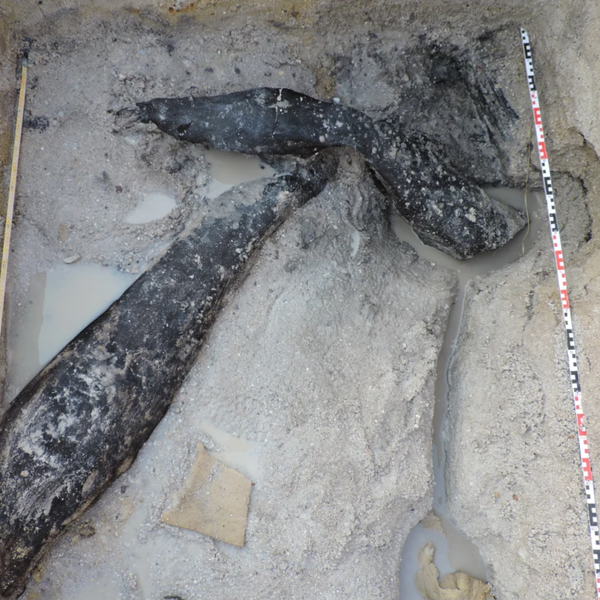 Estrutura de madeira feita por humanos há 476 mil anos é