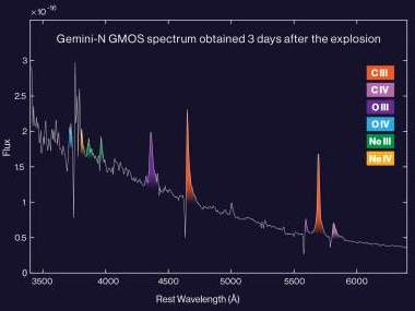 Espectro da supernova SN 2019hgp (Imagem: Reprodução/Itai Raveh)