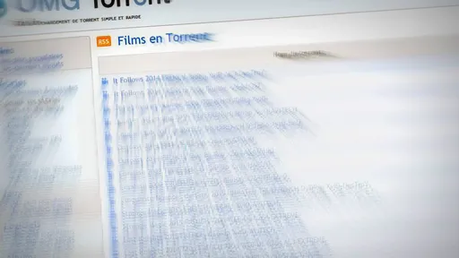 Administrador de site de torrents é condenado à prisão na França