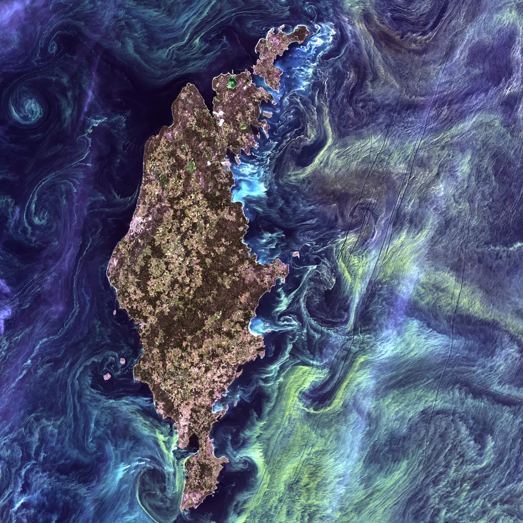 Bloom de fitoplâncton na Suécia (Imagem: USGS/Unsplash)