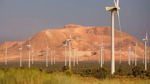 Amazon anuncia compromisso na redução da emissão de carbono até 2040