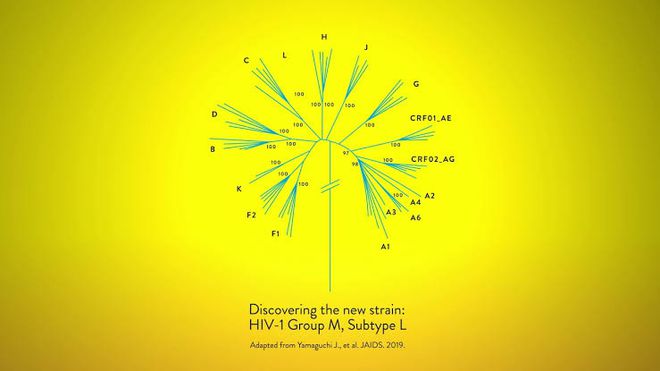 Novo subtipo do vírus HIV é descoberto por cientistas após quase 20 anos