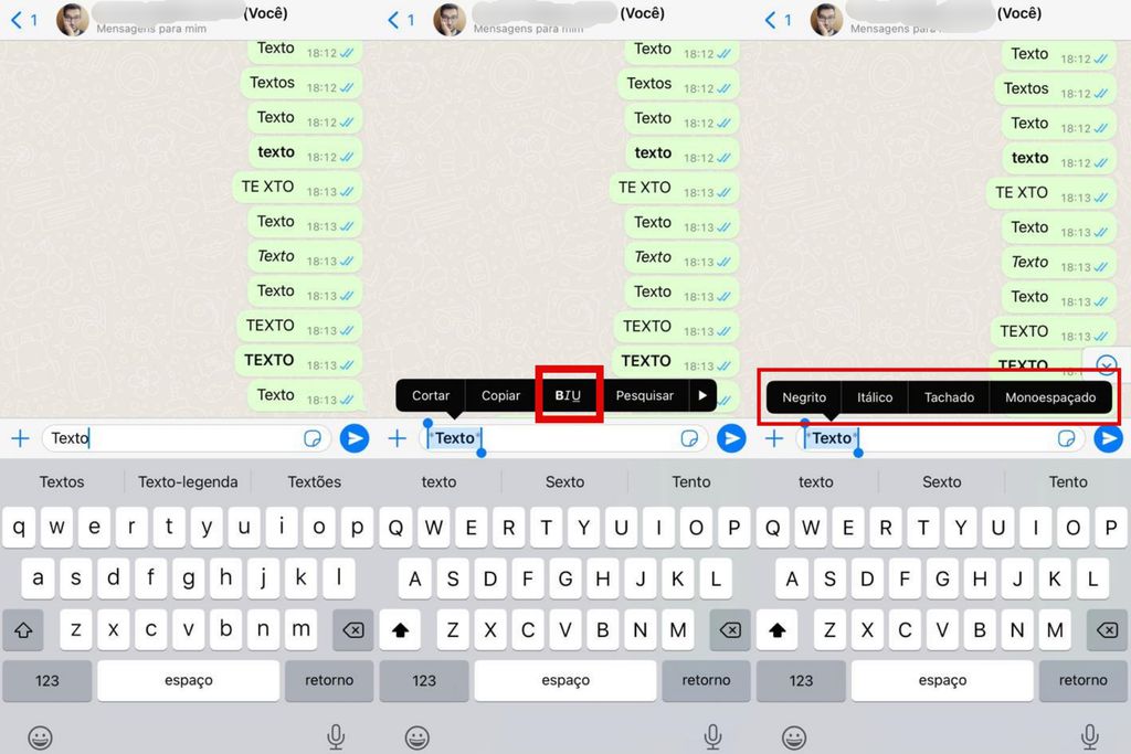 Opção de formatação de texto no WhatsApp para iOS (Imagem: Captura de tela/Guilherme Haas/Canaltech)