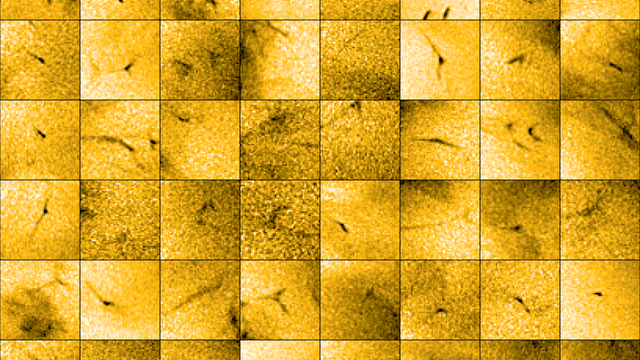 ESA & NASA/Solar Orbiter/EUI