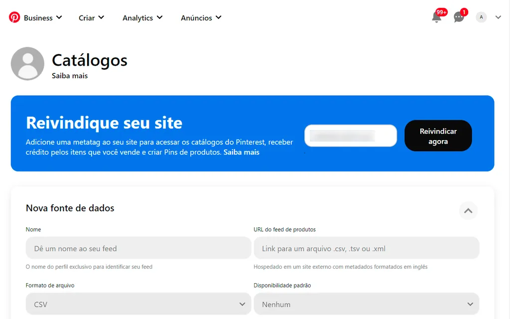 Reivindique o site da sua loja e insira o catálogo (Captura de tela: André Magalhães)