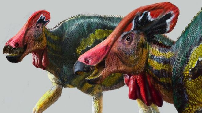 Dinossauro de crista encontrado no México era calmo, mas barulhento