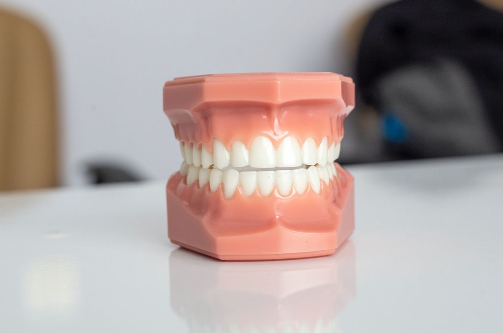 Novo tratamento promete regenerar esmalte dos dentes (Imagem: Enis Yavuz/Unsplash)
