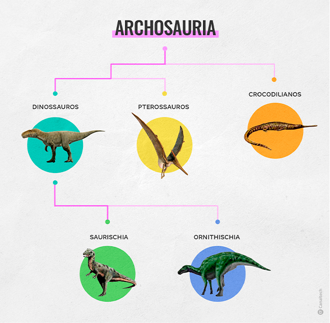 Você sabia que os dinossauros ainda vivem entre nós? A paleontologia explica!