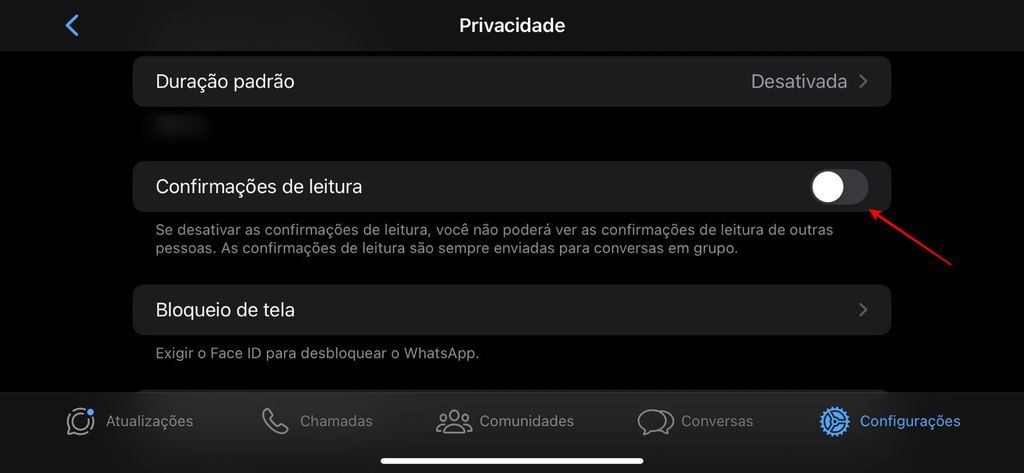 Você pode desabilitar as confirmações de leitura no iOS para ver status anonimamente (Imagem: Captura de tela/Fabrício Calixto/Canaltech)