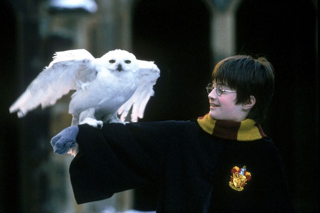 Harry Potter  Qual o melhor filme da franquia? - Canaltech