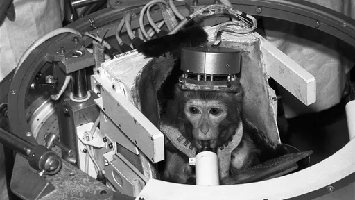 Irã envia macaco para o espaço e traz o animal de volta são e salvo