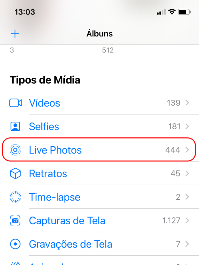 Abra o álbum das Live Photos no iPhone ou iPad - Captura de tela: Thiago Furquim (Canaltech)