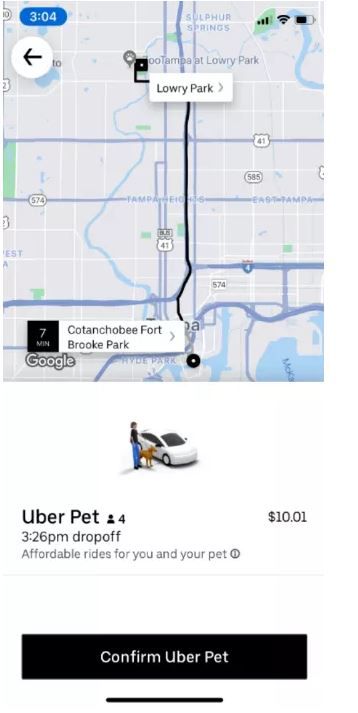 Uber Pet: seus animais agora podem andar de carro / Crédito: The Verge