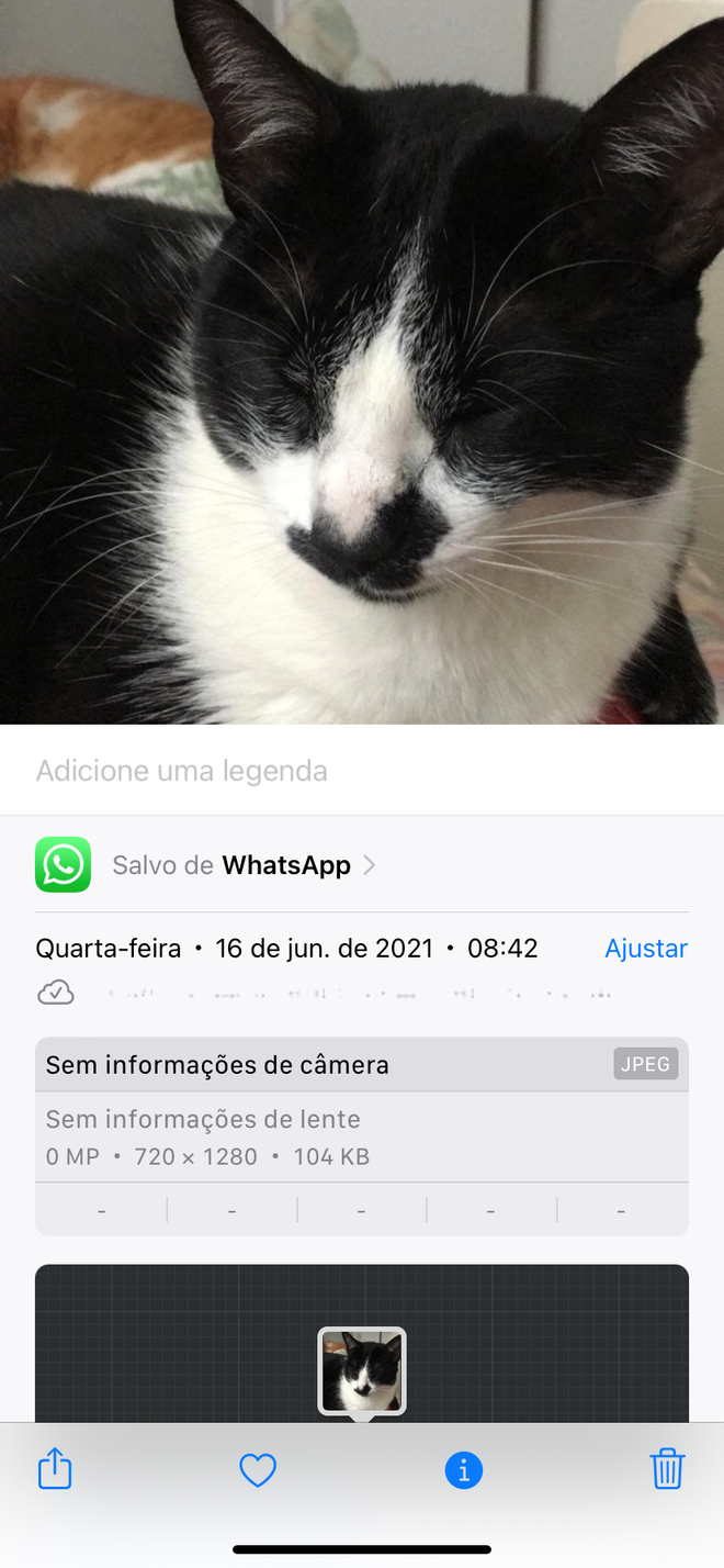 Nunca mais se perca nas mídias do WhatsApp para encontrar uma foto (Imagem: Thiago Furquim/Canaltech)