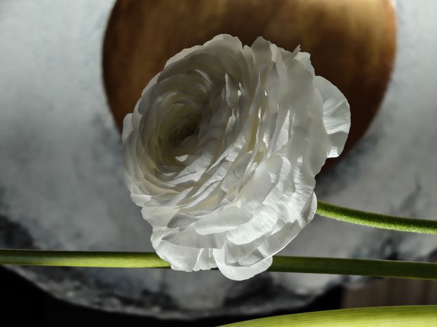 Motorola Signature - Teste de câmeras