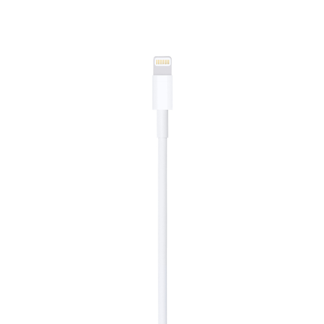 Apple adotou o Lightning como conector padrão no iPhone em 2012 (Imagem: Divulgação/Apple)