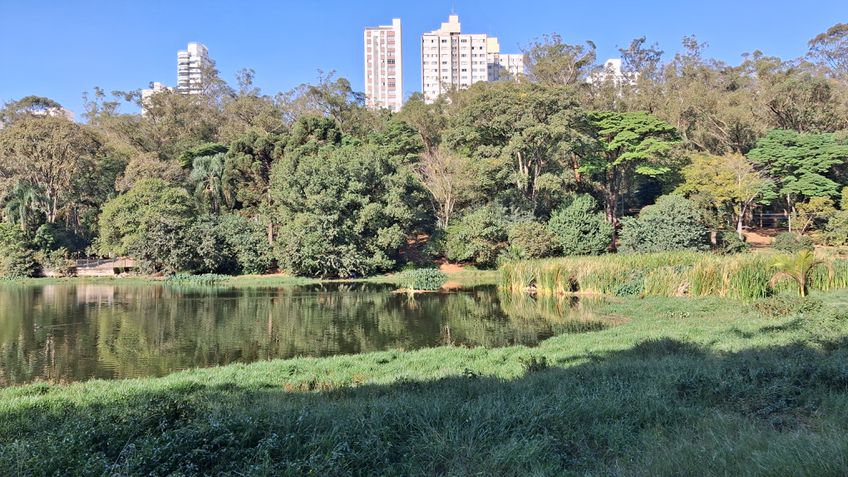 Foto com câmera principal de 50 MP do Samsung Galaxy M35