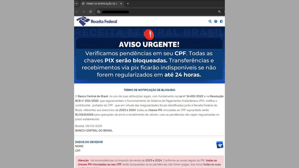 Sites que simulam a plataforma da Receita Federal são um dos golpes mais comuns (Reprodução/ISH Tecnologia)