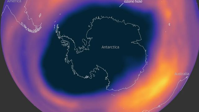 NOAA Climate