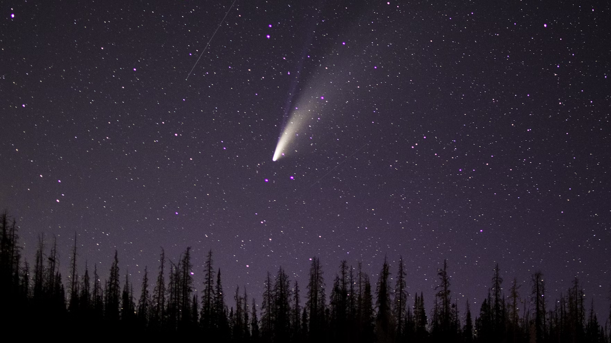 Cometa que aparece a cada 160 mil anos é fotografado no céu do Brasil