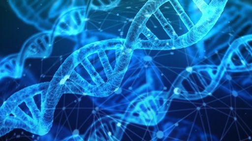 DNA do Brasil | Entenda como o DNA brasileiro pode mudar a medicina de precisão