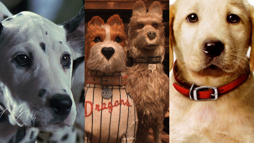 5 filmes de cachorros para assistir online