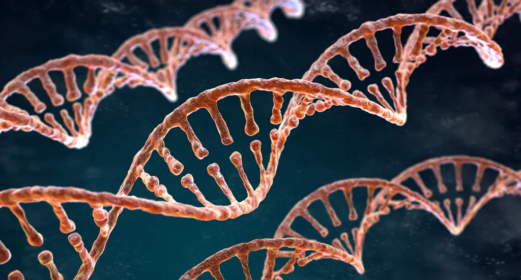 DNA é responsável pelas características específicas que cada ser vivo carrega (Imagem: iLexx/Envato)