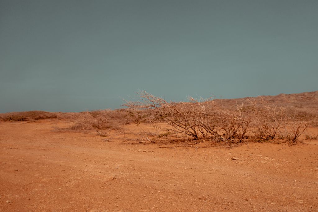 Os areais são um tipo de solo arenoso mais compacto do que as dunas e por isso não estão tão sujeitos aos ventos (Imagem: Reprodução/Luis Quintero/Pexels)