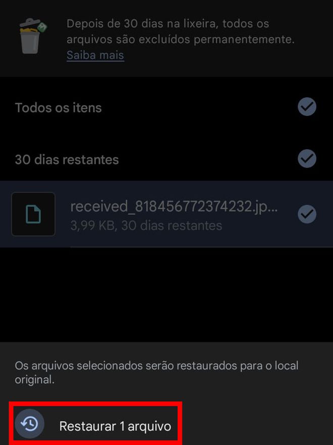 Caso tenha optado por restaurá-los, toque em "Restaurar X arquivos" (Captura de tela: Matheus Bigogno)