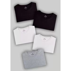 Kit Com 5 Camisetas Masculinas Básicas - Hering | CUPOM