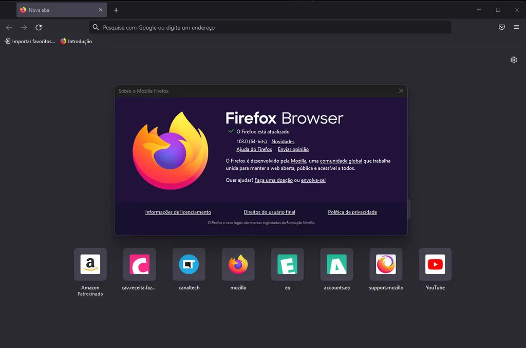O Firefox 103 traz melhorias voltadas para o entretenimento em vídeo com melhor resolução nos monitores e suporte a legendas no PiP (Imagem: Captura de tela/Alveni Lisboa/Canaltech)