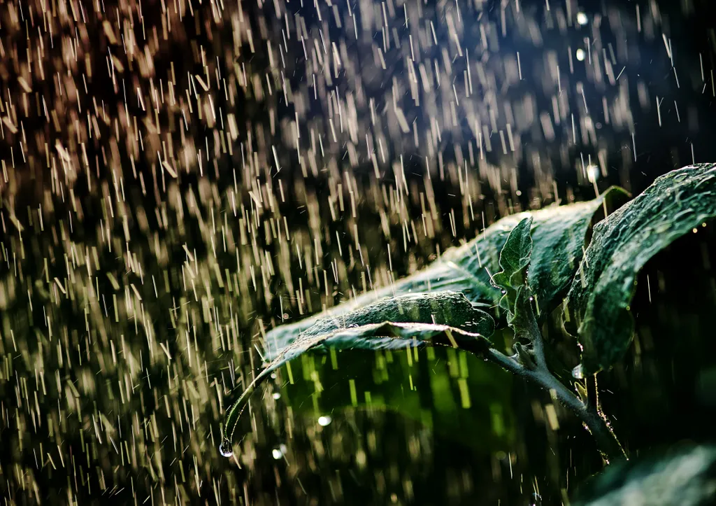 Água da chuva está contaminada com PFAS, segundo estudo (Imagem: Studio_OMG/Envato)