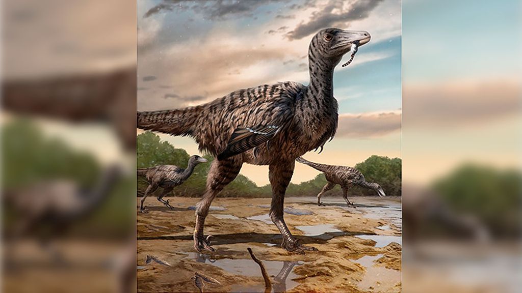 Mega Raptidon Pegadas mostram como megaraptor ficou enorme com o tempo - Canaltech