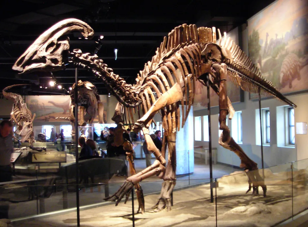 Parasaurolophus, uma espécie de Hadrossauro, no Field Museum de Chicago (Imagem: Lisa Andres/CC-BY-2.0)