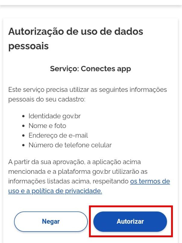 Autorize o aplicativo a acessar seus dados (Imagem: Guadalupe Carniel/Captura de tela)