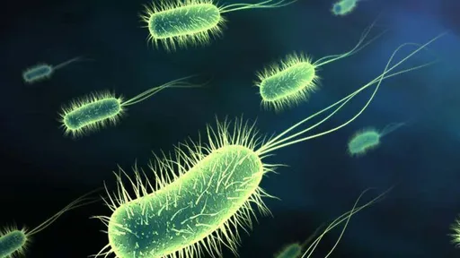 Bactérias que combatem bactérias: a novidade no mundo da limpeza