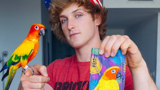 YouTube desativa monetização do canal de Logan Paul após novas polêmicas