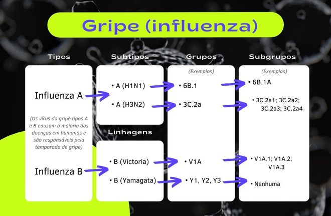 Vírus da gripe podem se dividir entre os tipos influenza A e B (Imagem: Fidel Forato/Canaltech)