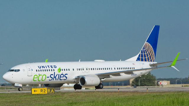 United Airlines utilizará biocombustível de fezes de animais em seus aviões