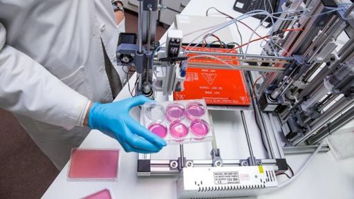 Brasileira é premiada por método que substitui testes de cosméticos em animais