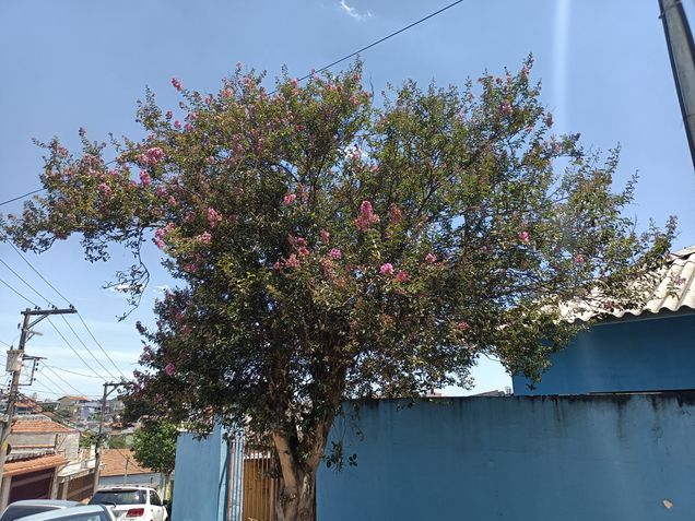 Foto da câmera principal do Realme 7 5G
