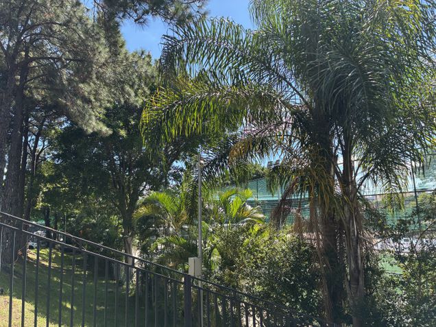 iPhone 17e - C&acirc;mera principal