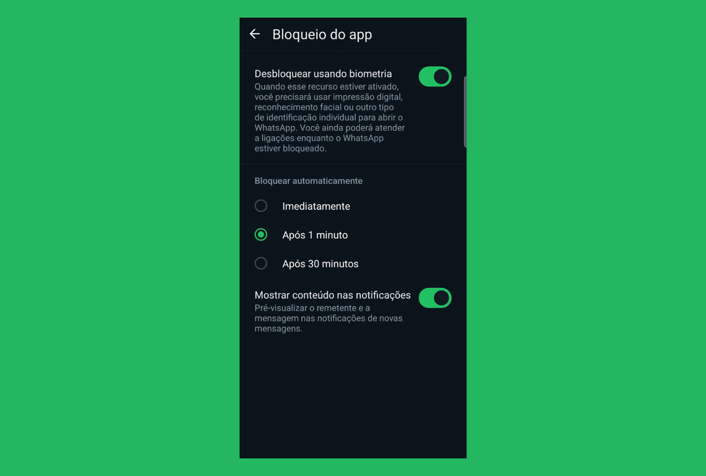 WhatsApp testa desbloqueio por reconhecimento facial no Android (Imagem: Captura de tela/Douglas Ciriaco/Canaltech)