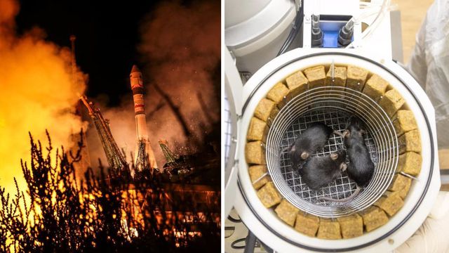 Ivan Timoshenko/Roscosmos