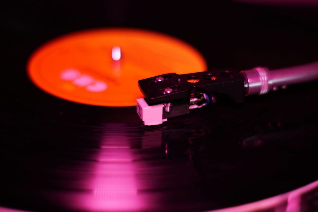 Vinil