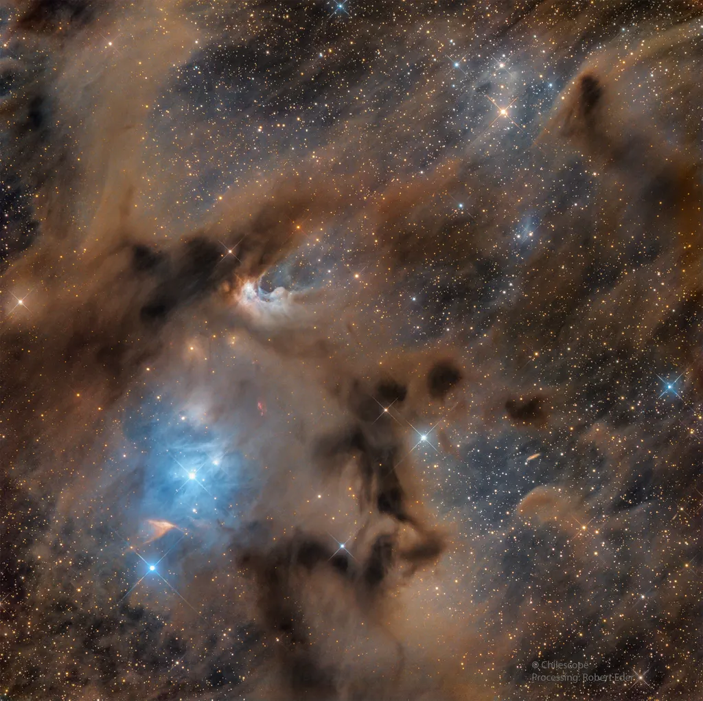 Nebulosas de reflexão e estrelas jovens aparecem nesta imagem (Imagem: Reprodução/Stas Volskiy (Chilescope.com)/Robert Eder)